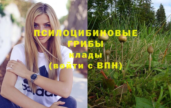 тгк Волоколамск