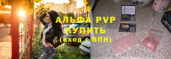 PSILOCYBIN Волосово