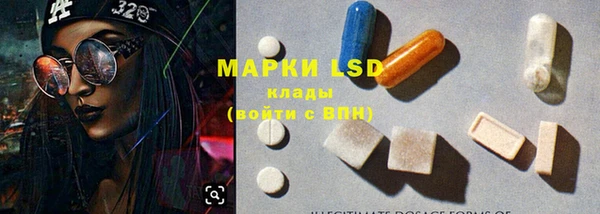 PSILOCYBIN Волосово