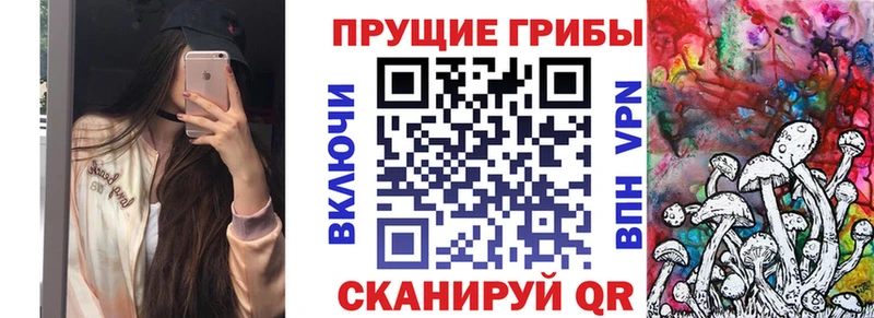 Галлюциногенные грибы Magic Shrooms  Мытищи 