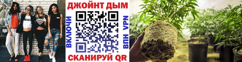 где купить наркотик  Мытищи  МАРИХУАНА Bruce Banner 